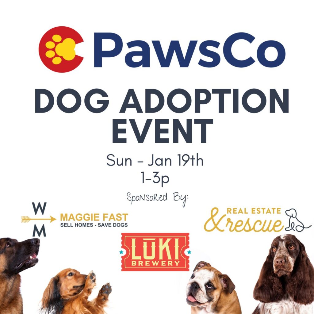 4 dogs looking at text that says PawsCo Adoption Event sponsored by Maggie Fast. Sunday January 19th from 1 - 3 pm.