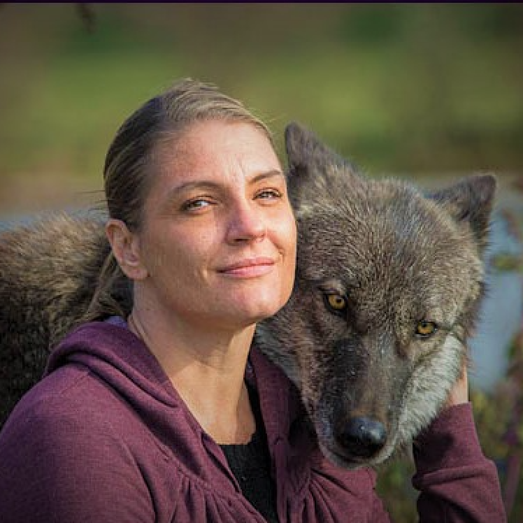 Screenshot 2026-01-11 at 7.52.53 PM